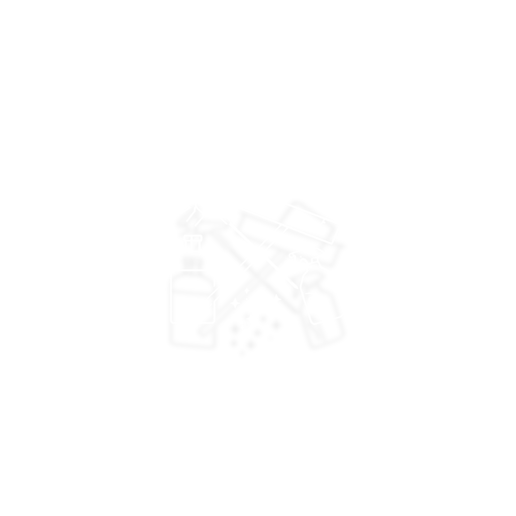 professional cleaning services